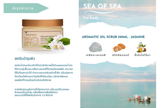 Sos - Marketing & Advertisement - Brochure - Aromatic Oil Scrub 350ml - Jasmine - 1Pack 500Pcs